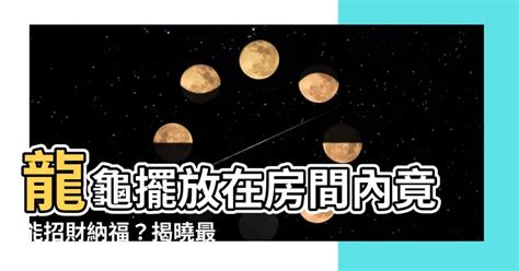 龍龜 房間|龍龜可以放房間嗎？臥室擺放助好眠、保平安 